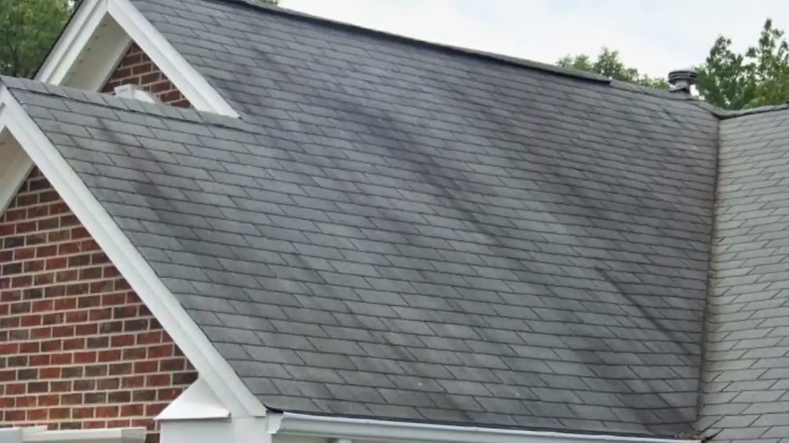 Dark algae streaks on shaded roof slope in Holly Springs neighborhood