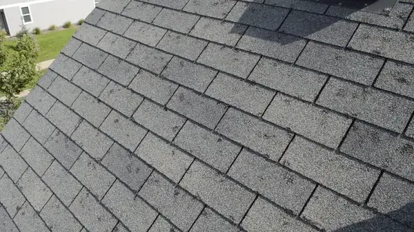 Hail bruise damage on roof shingle surface