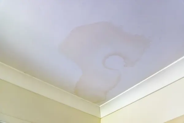 Water stain on white ceiling from roof leak