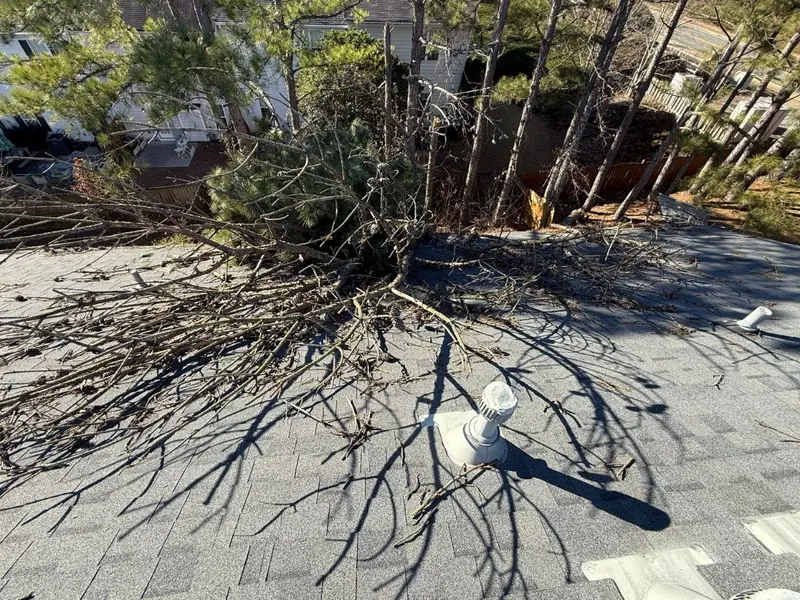 Pine tree snapped by strong winds lying across a shingle roof in the Whitfield subdivision in Woodstock, GA, June 2025