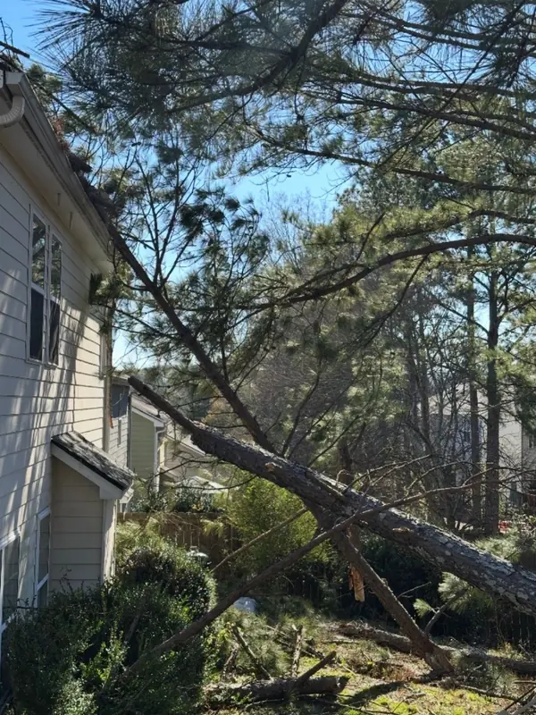 Pine snapped near its base and leaning onto the roof edge of a two-story house in Woodstock, GA